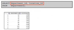 آموزش sql مقدماتی – دستور select