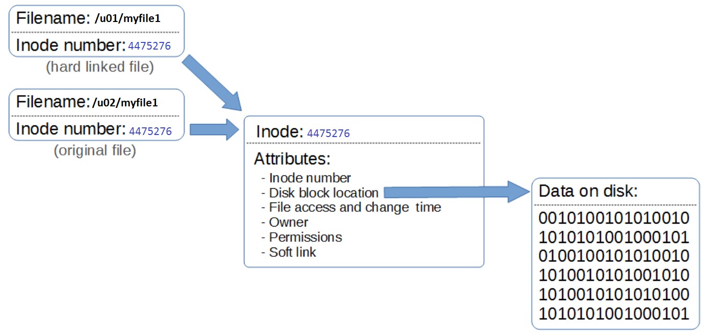 Hard Code Link ایجاد چندین نام برای دیتافایلها با کمک hard link – Oracle Database